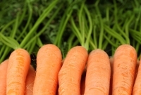 Purée de carottes et de pommes de terre au cumin