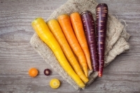 Frites de carottes multicolores au four